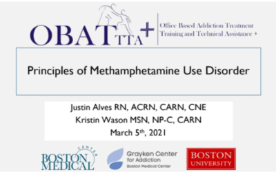 Principles of Methamphetamine Use Disorder