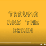 Trauma and the Brain, Screenshot of video