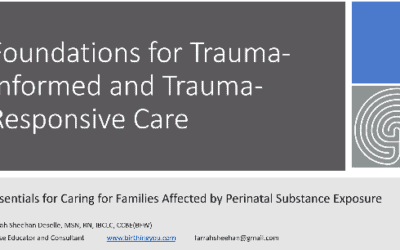 Foundations for Trauma-Informed and Trauma-Responsive Care Slide Deck