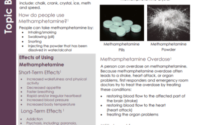 Methamphetamine Issue Brief