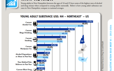 Issue Brief: Young Adult Substance Abuse in New Hampshire