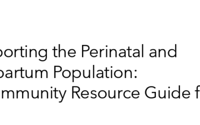 Supporting the Perinatal and Postpartum Population: A Community Resource Guide for NH