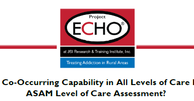How does co-occurring capability in all levels of care impact a Level of Care Assessment?